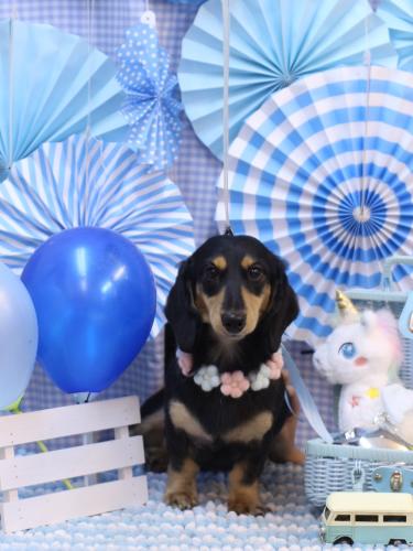 20231122おうたくん